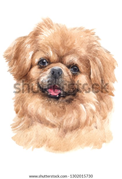 Water Colour Dog Painting Small Dog Stock Illustration 1302015730