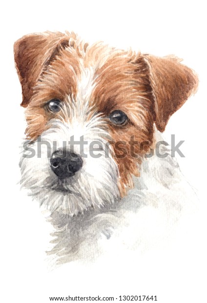 Water Colour Dog Paintings Small Dogs Stock Illustration 1302017641