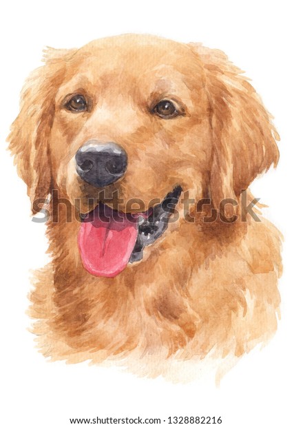 Water Colour Painting Of Dogs, Golden Hairs Golden Retriever