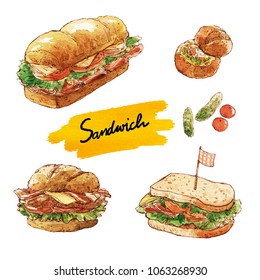 Water Colour Painting Sandwich Set.