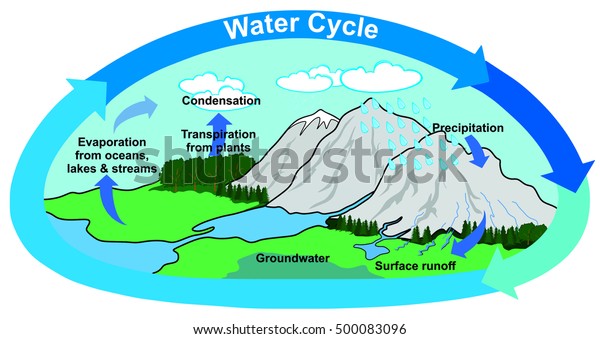 Water Cycle Stock Illustration 500083096 | Shutterstock