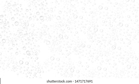water drops in white background
