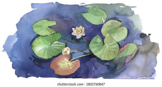 Watercolor Lily Pad High Res Stock Images Shutterstock