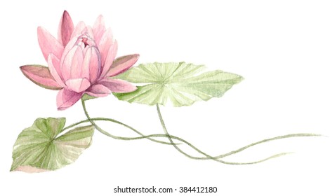 Lotus Flower Images, Stock Photos & Vectors | Shutterstock