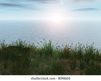 Water setting with cattails