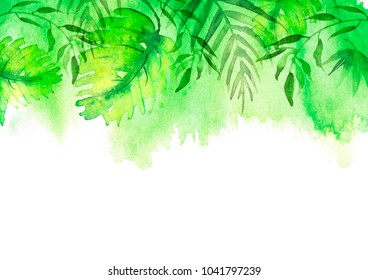 Watercolor abstract background, pattern, postcard, card, label. green spot, splash of paint, blot, divorce, color. Branches, green leaves, fern, palm, mint and others. With a place for writing.