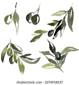 Watercolor abstract set of black and green olives, branches and leaves. Hand painted nature elements isolated on white background. Plants illustration for design, print, fabric or background.
