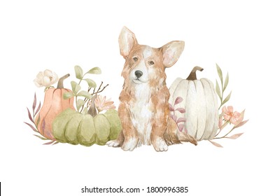 Watercolor adorable dogs and pumpkin with flowers. Autumn rustic scene. Fall aesthetic clipart with welsh corgi