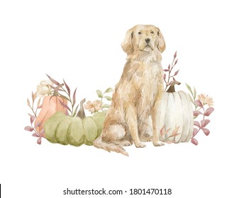 Watercolor Adorable Dogs And Pumpkin With Flowers. Autumn Rustic Scene. Fall Aesthetic Clipart With Golden Retriever 