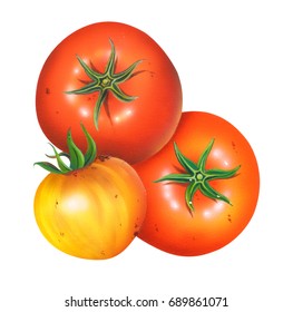 Watercolor and airbrush with tomato.Hand drawn  on white background.High resolution.Illustration for greeting cards, invitations, and other printing projects. Clipping path included. 