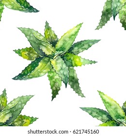 Watercolor Aloe Vera Pattern. Illustration On White Background