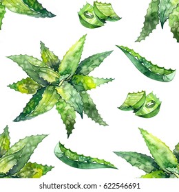 Watercolor Aloe Vera Pattern. Illustration On White Background