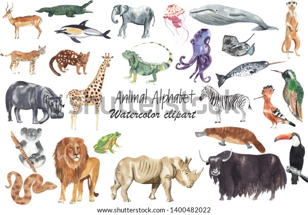 水彩動物のイラスト 英語のアルファベットの文字ごとに動物 水彩手描きの手描きのクリップアート 高解像度 300 Dpi のイラスト素材