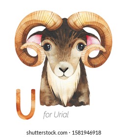Urial Drawing ORIGINAL Urial with Utensil Horns Illustration Urial Painting Urial Art