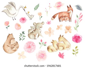 Watercolor Animals Illustration With Mother And Baby Bear, Koala, Fox With Boho Flowers 