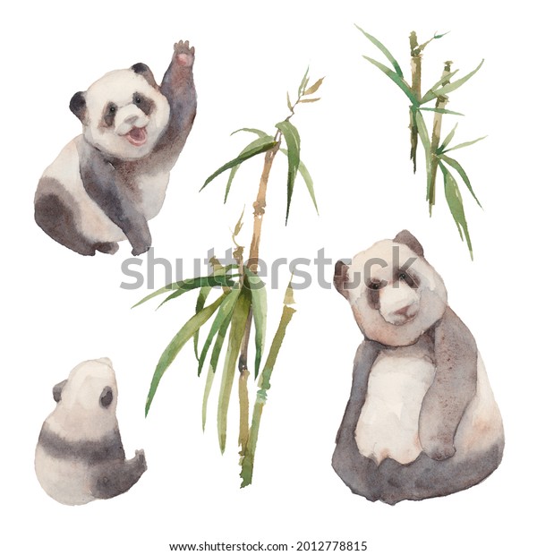 水彩動物セット 白い背景にパンダの熊と笹の葉 手描きのクリップアート のイラスト素材