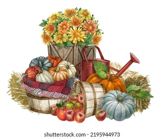 Watercolor Apple Harvest Scene With Pumpkin, Sunflower, Watering Can, Hay And Flowers. Fall Decor Composition For Thanksgiving And Autumn Arrangement Card, Farmhouse Rustic Garden Illustration