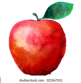 watercolor apple on a white background
