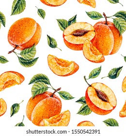 Watercolor Apricot. Botanical Watercolor Hand Drawn Illustration. Apricot. Watercolor Fruits. Seamless Pattern