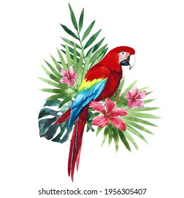 Watercolor Ara macao, Scarlet macaw, South American parrot with tropical palm leaves and flowers. Hand drawn illustration, clip art isolated on white background.