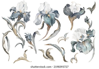 watercolor arrangements with flowers - vintage irises. bouquets with leaves, branches. Botanic illustration isolated on white background.  