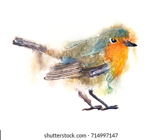 3,442 Robin bird watercolor Images, Stock Photos & Vectors | Shutterstock