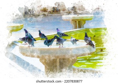Watercolor art Pigeons drinking