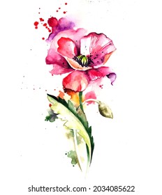 Watercolor Artistic Flower Composition Poppy with Background