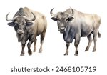 Watercolor Asian Water Buffalo. Illustration clipart isolated on white background.
