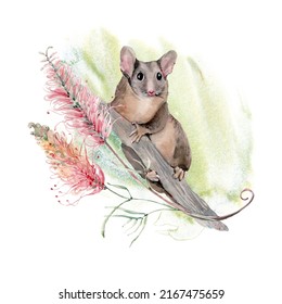 Watercolor Australian  Feathertail Glider Possum. Perfect For Cards, Posters, Stickers, Prints.