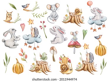 Watercolor autumn animal clipart. Hand painted mouse, bunny,birds, owl, snail,plants, pumpkin, maple leaf, berries, acorn, branches. Forest animal seasonal illustrations for stickers, patterns, prints