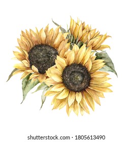 Watercolor autumn bouquet with sunflowers. Hand painted rustic card isolated on white background. Floral illustration for design, print, fabric or background.
