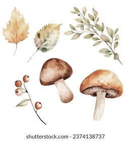 Watercolor autumn floral mushrooms and leaves composition for design, autumn illustration, isolated on the white background - Powered by Shutterstock