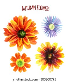 Watercolor autumn flower set. Hand painted illustration
