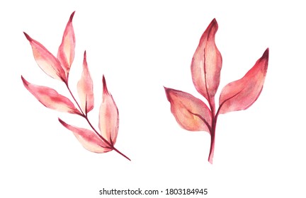 Watercolor autumn leaf set. Hand Drawn watercolor illustration.Isolated on a white background.