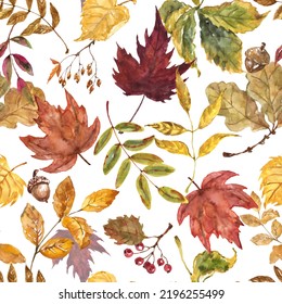 Watercolor autumn leaves and floaige seamless pattern. Fall botanical background. Hand-painted plants illustration.