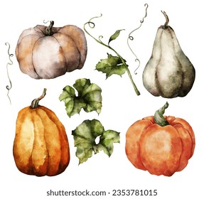 Watercolor autumn set of bright pumpkins and leaves. Hand painted blue, red and orange gourds isolated on white background. Botanical illustration for design, print, background. - Powered by Shutterstock