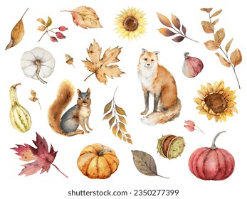 Watercolor autumn set with fox, squirrel, pumpkins, sunflowers and foliage. Perfect for a Thanksgiving decoration, Harvest Day, invitation, greeting cards. Hand painted  illustration. - Powered by Shutterstock