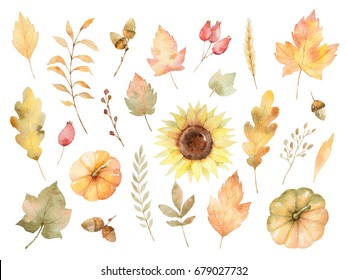 Watercolor Autumn Set Of Leaves, Branches, Flowers And Pumpkins Isolated On White Background. Thanksgiving Illustration For Your Design.