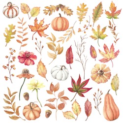 Aquarellfarbener Herbstsatz Aus Blättern, Blumen, Kürbis Auf Weißem Hintergrund.