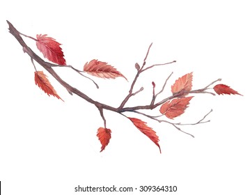 Watercolor Autumn Tree Branch. Hand Drawn Fall Illustration With Red Leaves On Branch Isolated On White Background. Natural Raster Art