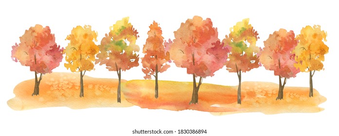 Watercolor Autumn Trees, Clipart On A White Background, Pine, Birch