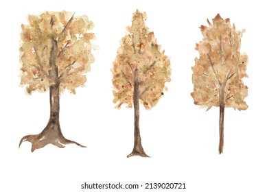 Watercolor Autumn Trees Clipart Set. Hand Painted Yellow Tree Illustration Isolated On White Background. Autumn Festival. Botanical Illustration For Design