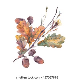 Watercolor autumn vintage bouquet of twigs, yellow oak leaves and acorns. Botanical watercolor illustrations. Greeting card. Isolated on white background