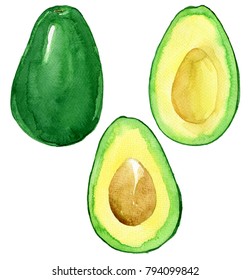 Watercolor Avocado Illustration