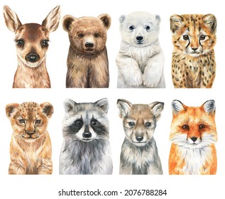 Watercolor Baby Animals Set. Animal Cub Illustration. Lion, Bear, Fox And Deer