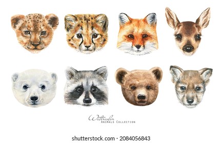 Watercolor Baby Animals Set. Animal Cub Illustration. Lion, Bear, Fox And Deer