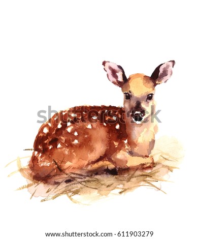 Watercolor Baby Deer Hand Painted Fawn Illustration isolated on white background