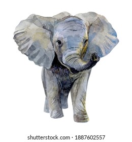 Watercolor Baby Elephant, Cute Art