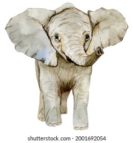 Watercolor Baby Elephant On A Transparent Background. Cute Animal.